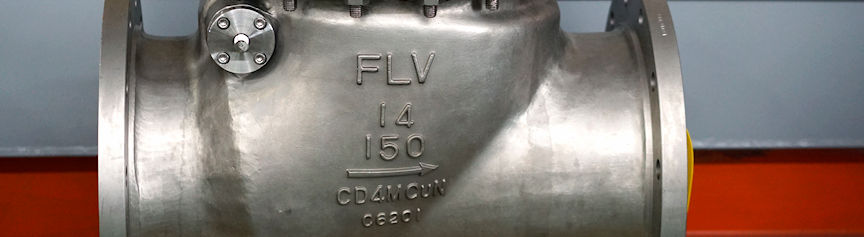 BS 1868 Check Valves