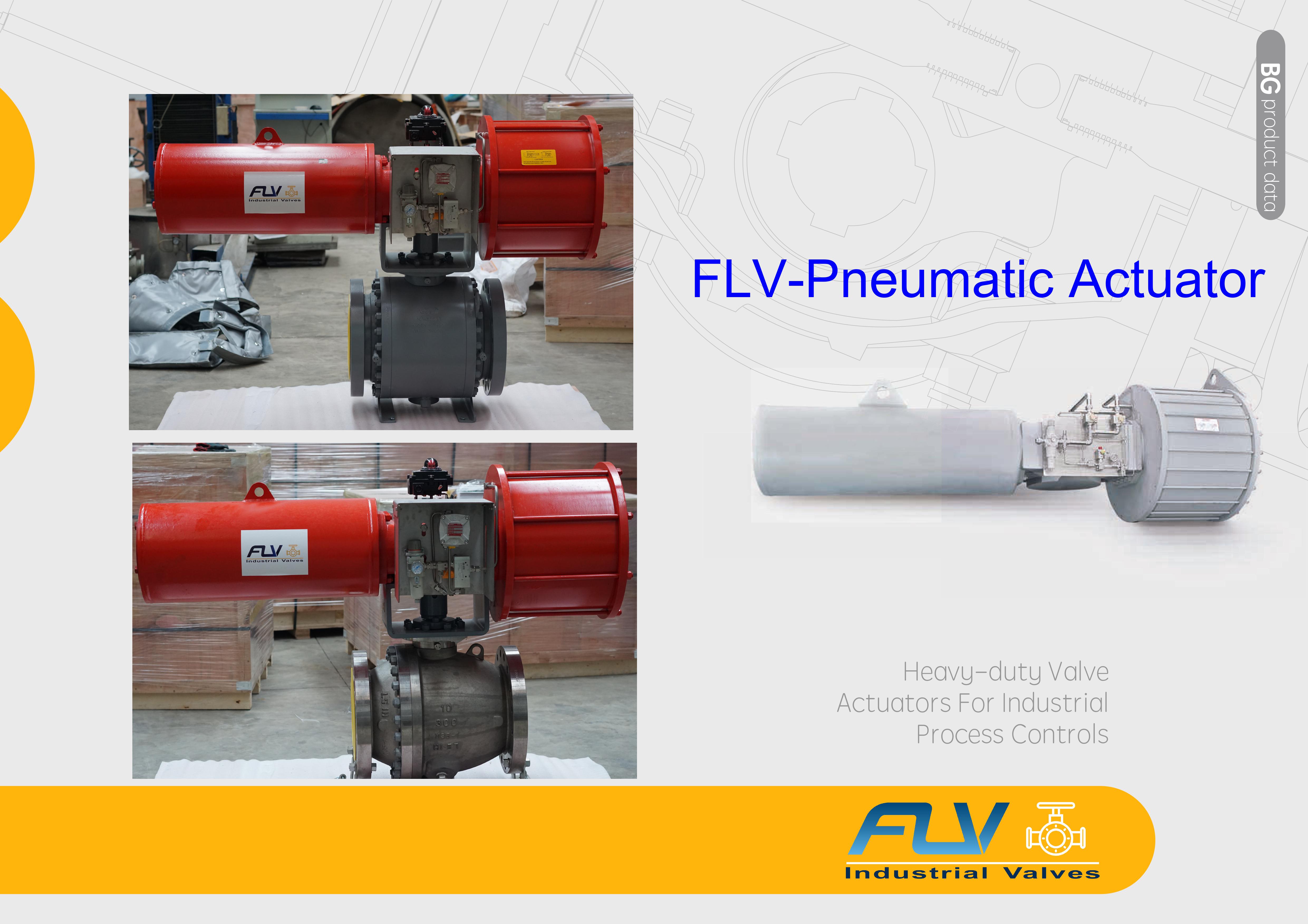 FLV CONTROLS Pneumatic Actuator