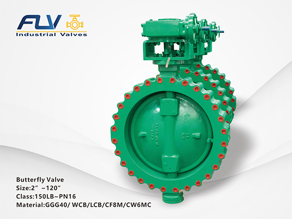 Butterfly Valve