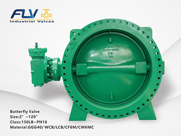 Butterfly Valve1