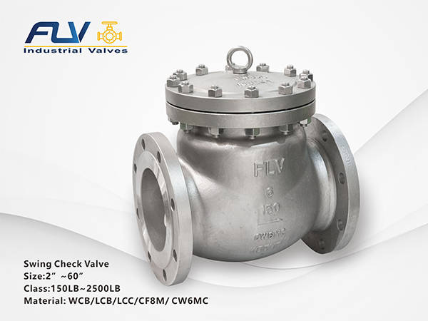 Swing Check Valve